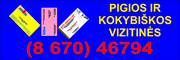 Vizitinės